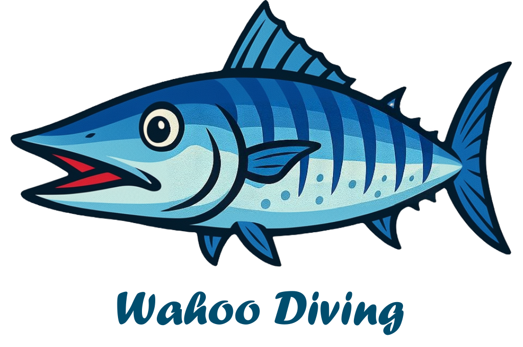 Wahoo Diving 哇虎潛水